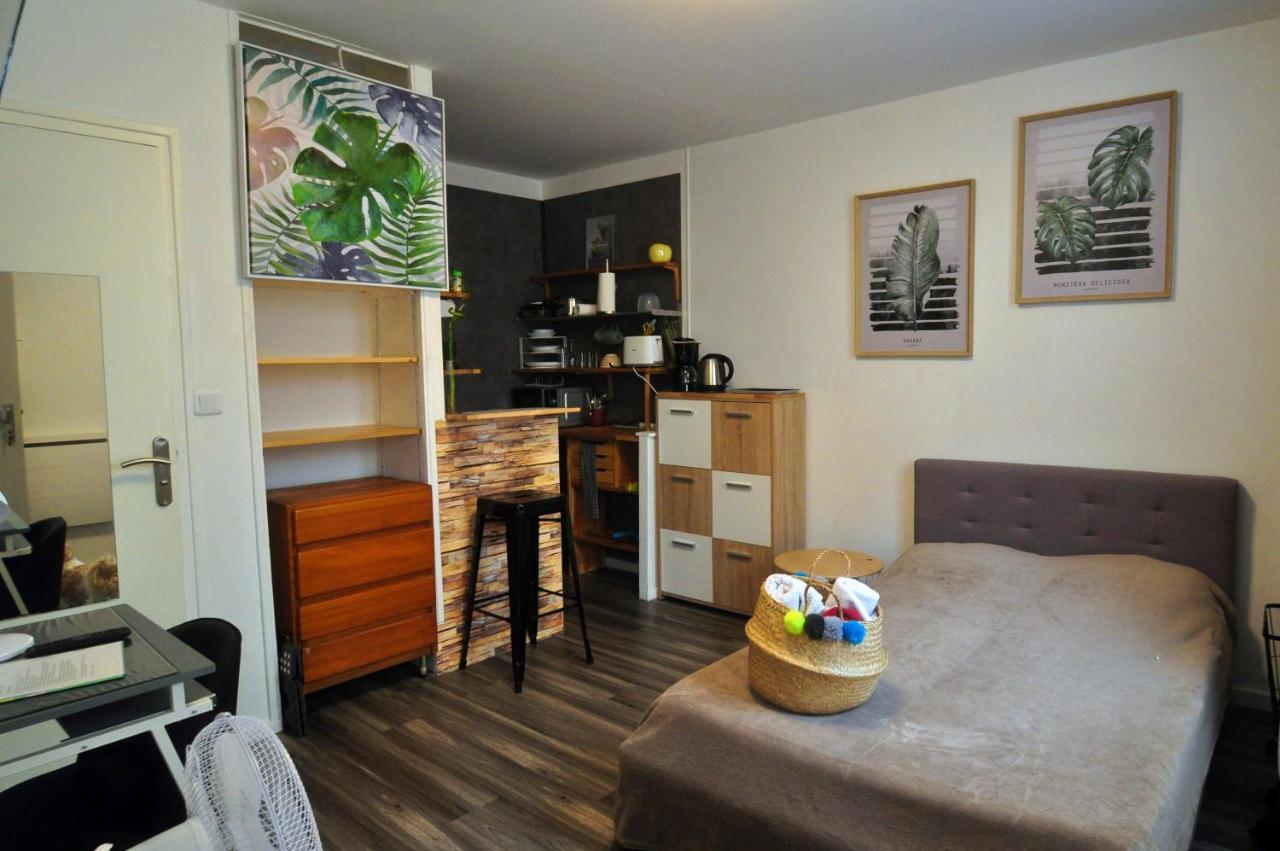 Beaublache Residence Studios Meubles Grenoble Kültér fotó