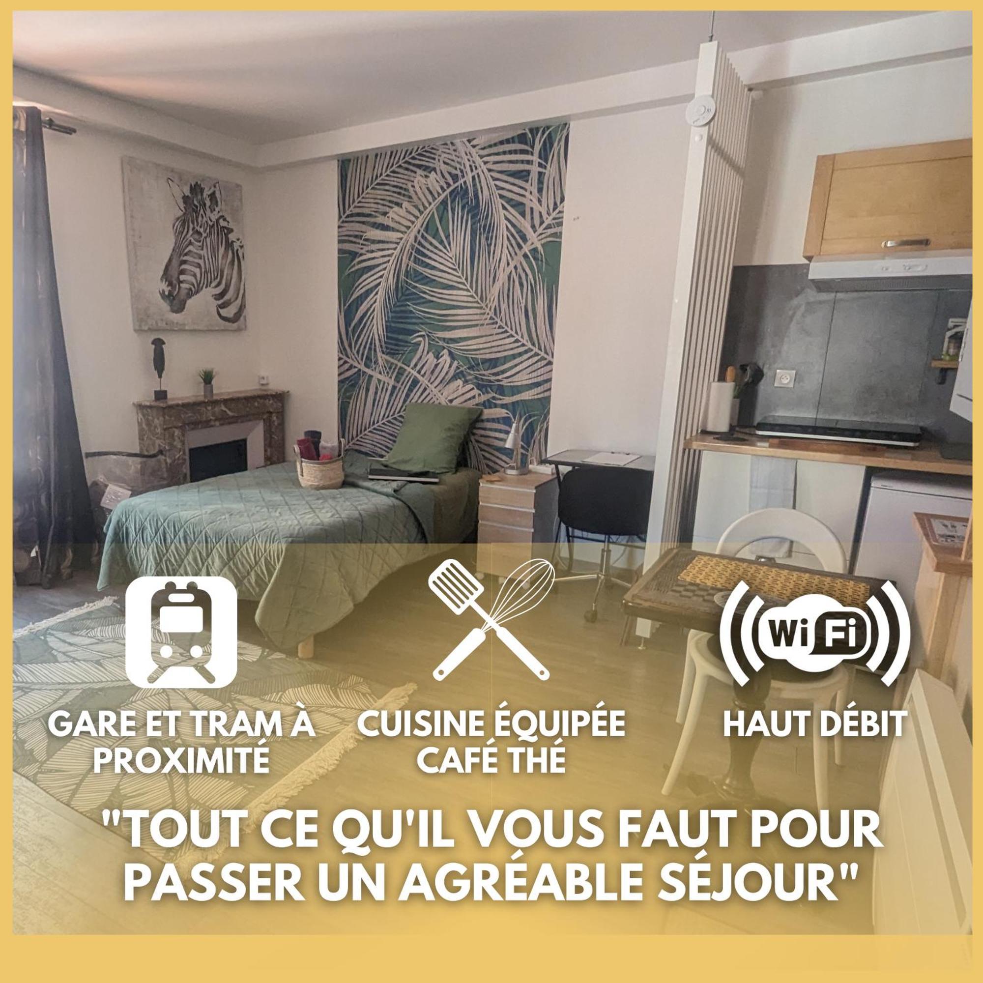 Beaublache Residence Studios Meubles Grenoble Kültér fotó
